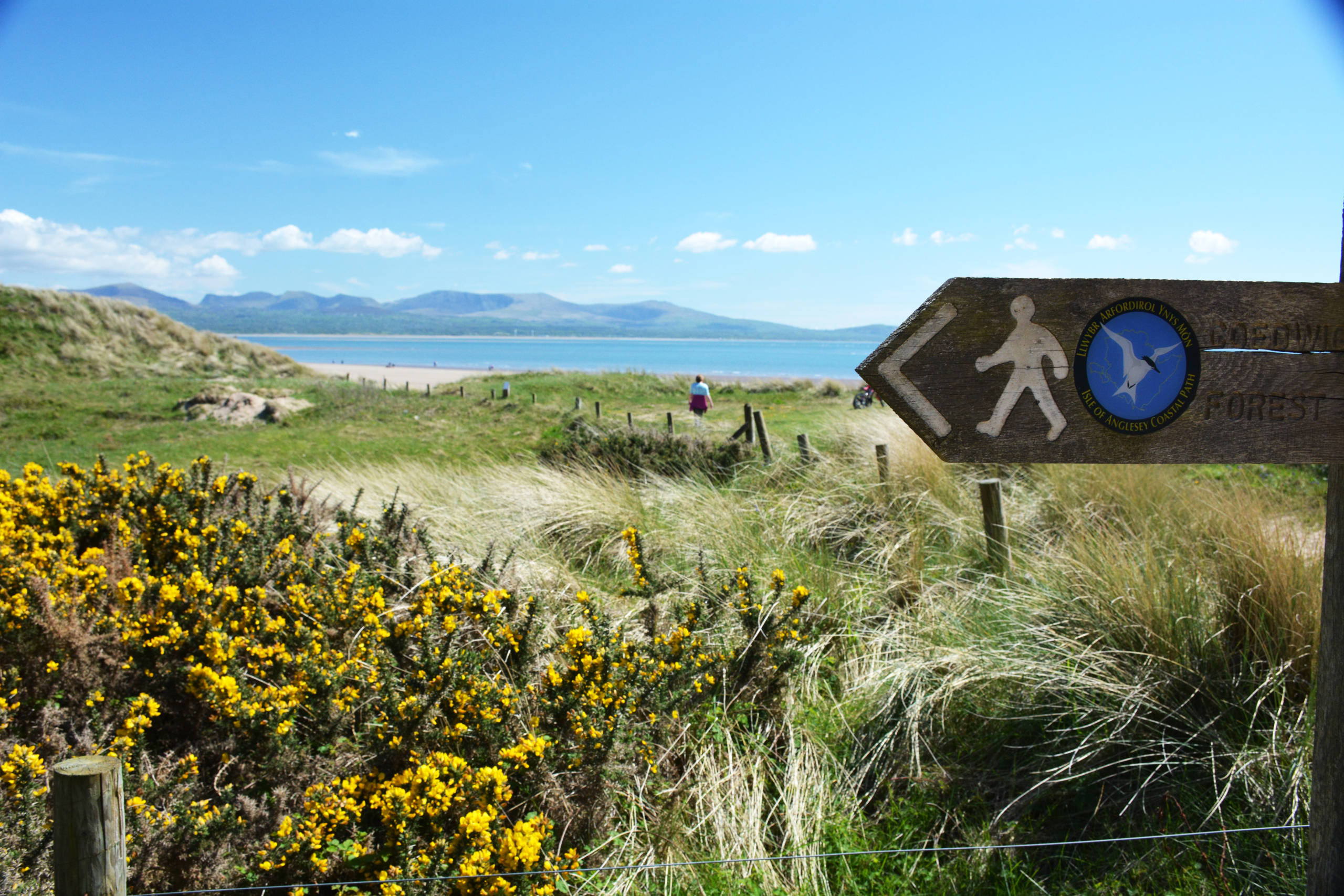 A section of the Isle of Anglesey Coastal Path on the south of the island, overlooking Snowdonia on the mainland.