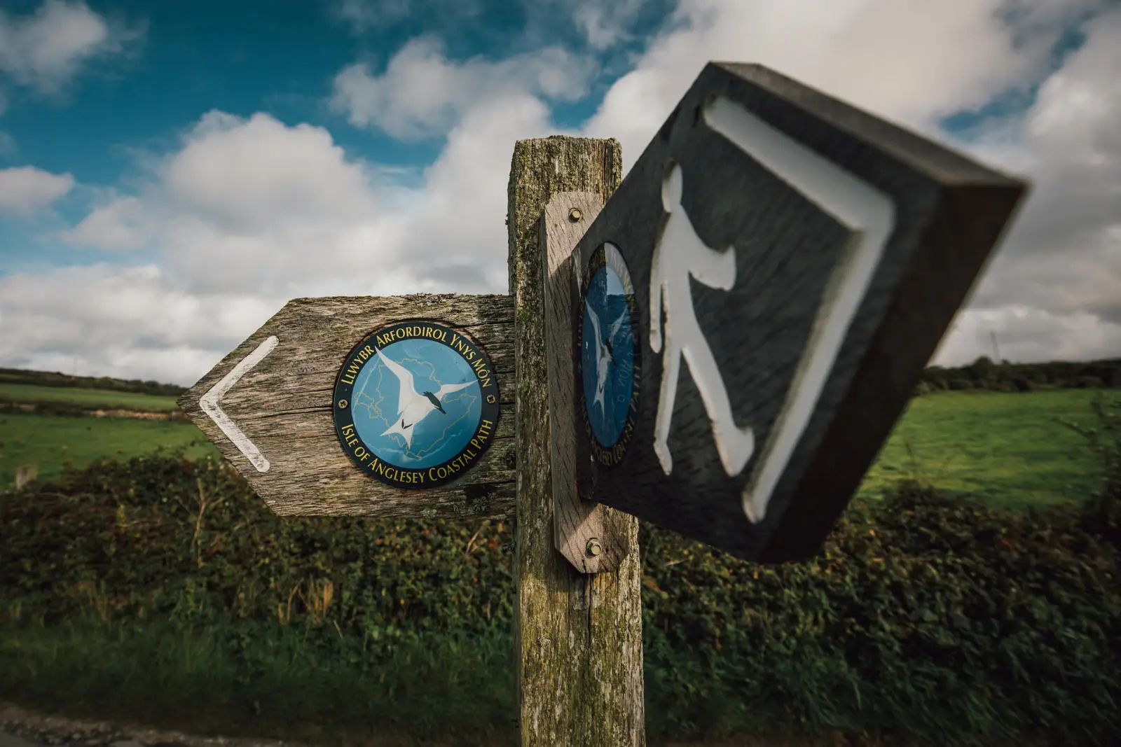 An oak finder post showing the coastal path and walker sign 